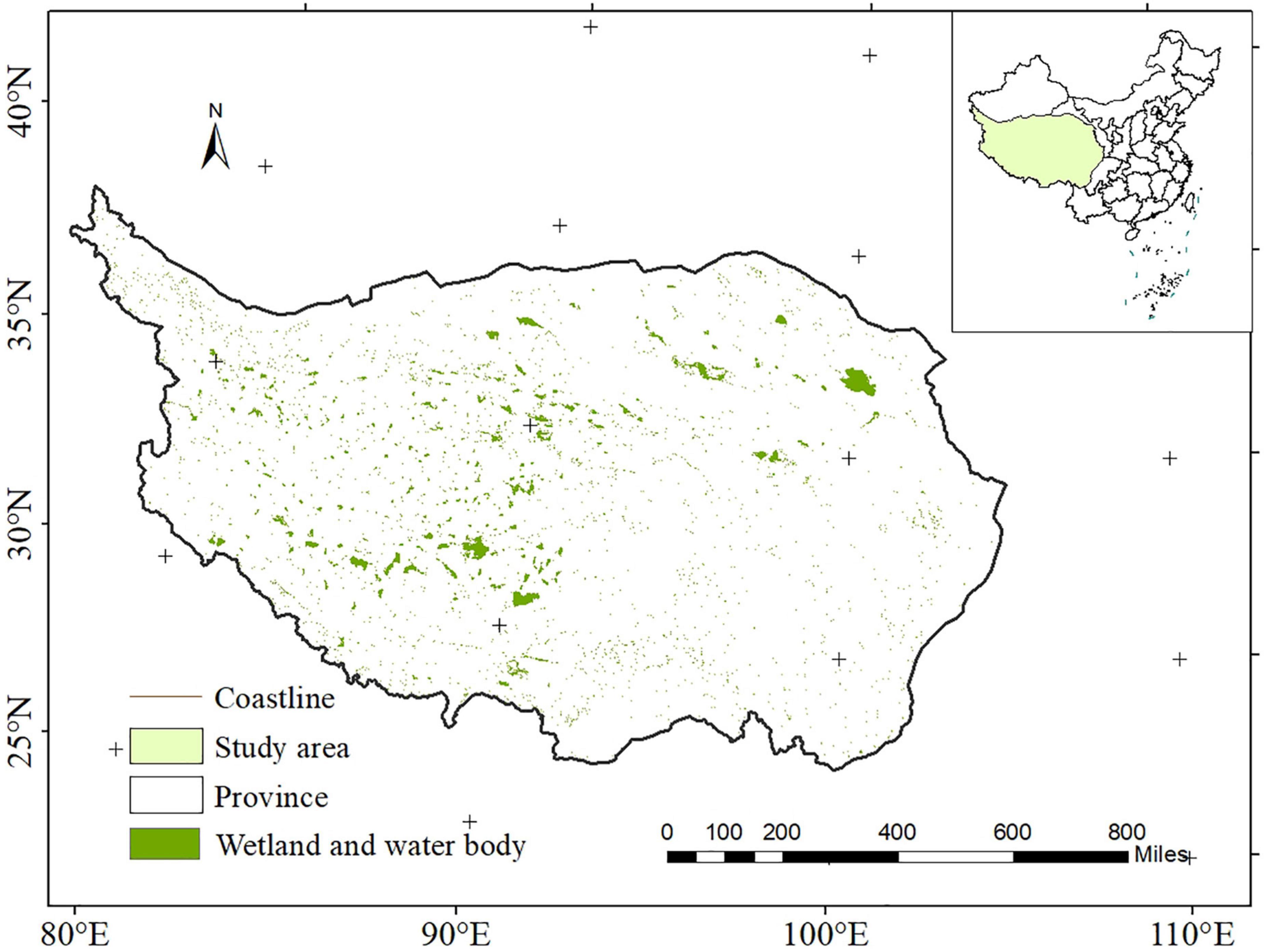 Wetland vegetation changes in response to climate change and human activities on the Tibetan Plateau during 2000–2015